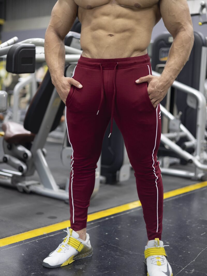 APEX ROMA JOGGERS - MAROON - Image 2