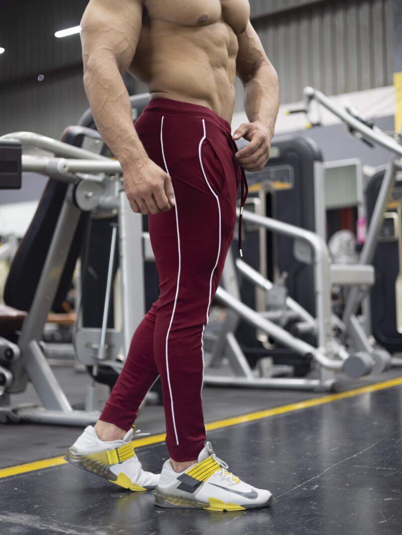 APEX ROMA JOGGERS - MAROON - Image 3
