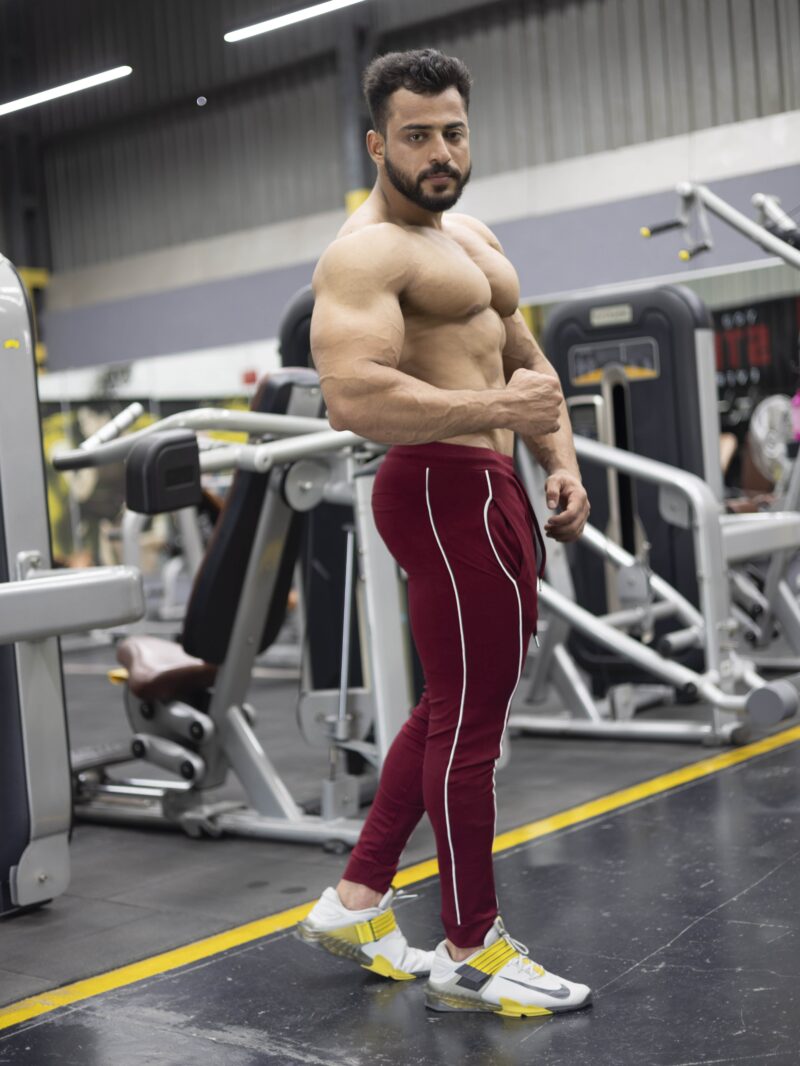 APEX ROMA JOGGERS - MAROON - Image 4