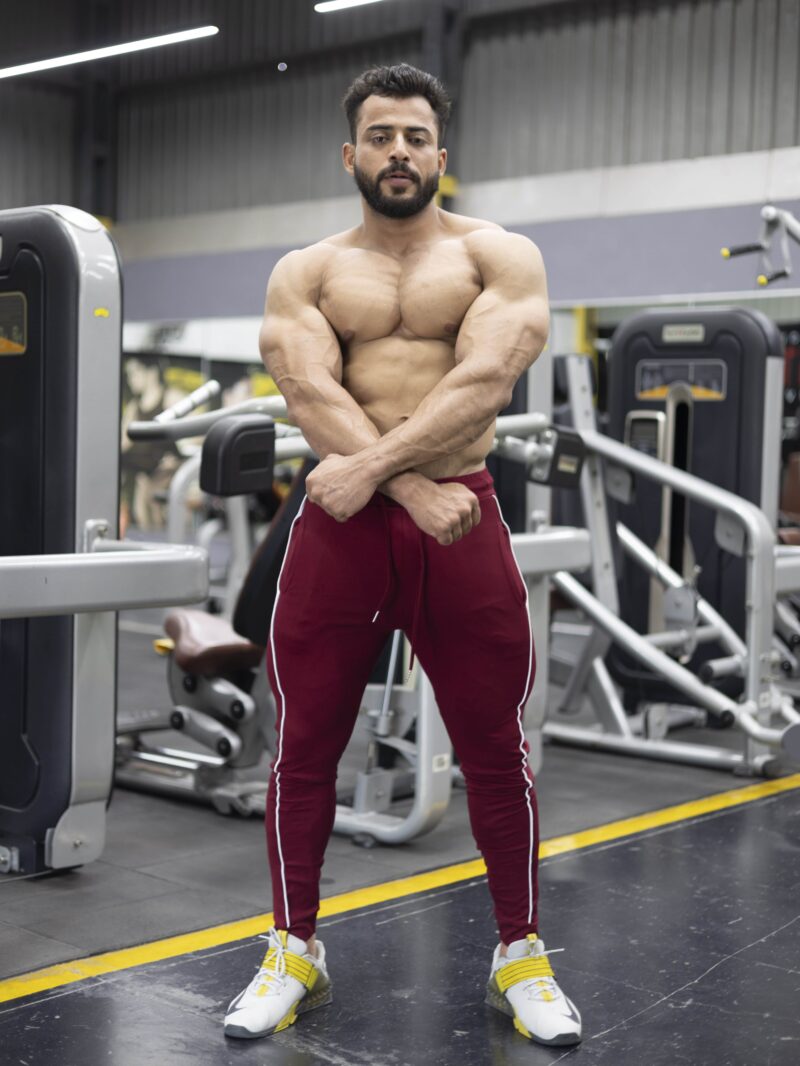 APEX ROMA JOGGERS - MAROON - Image 5