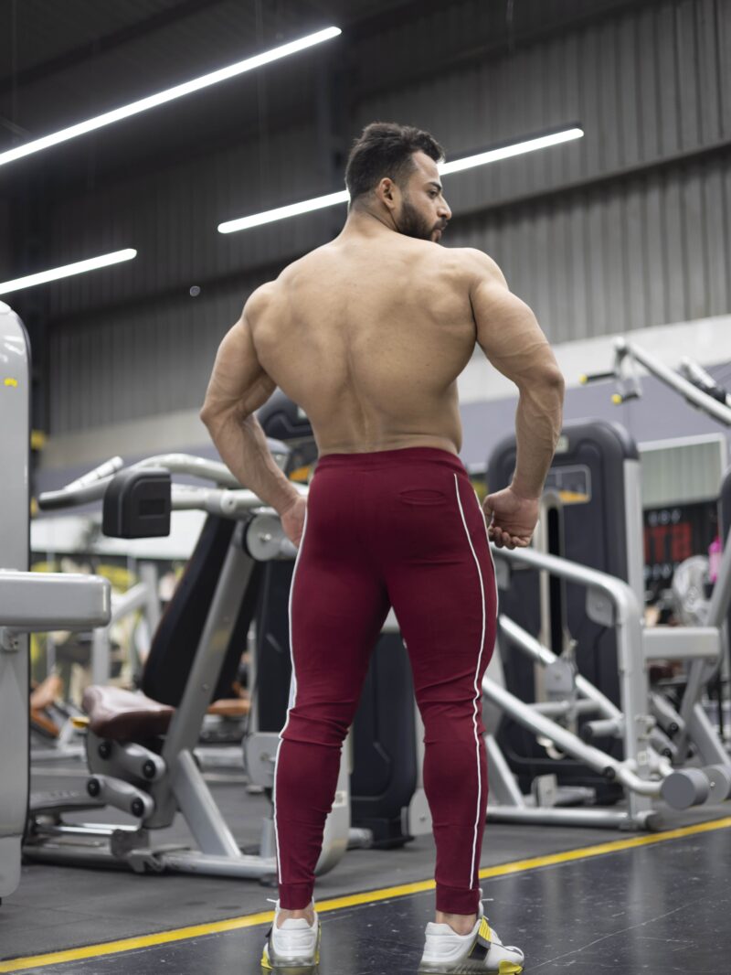APEX ROMA JOGGERS - MAROON - Image 7