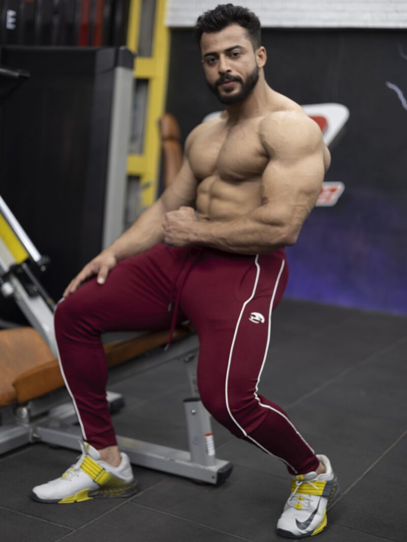 APEX ROMA JOGGERS - MAROON - Image 8